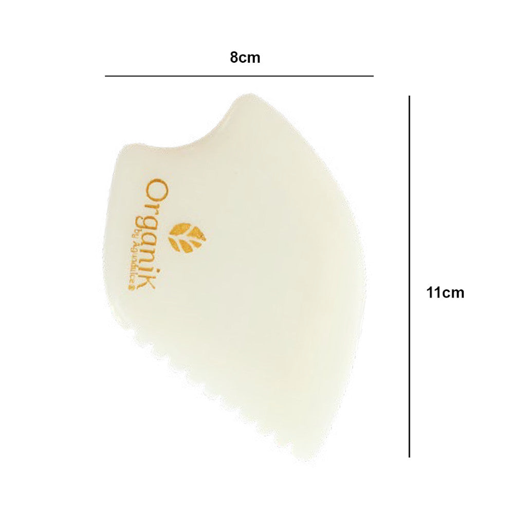 Kit Día y Noche con Gua Sha de Regalo
